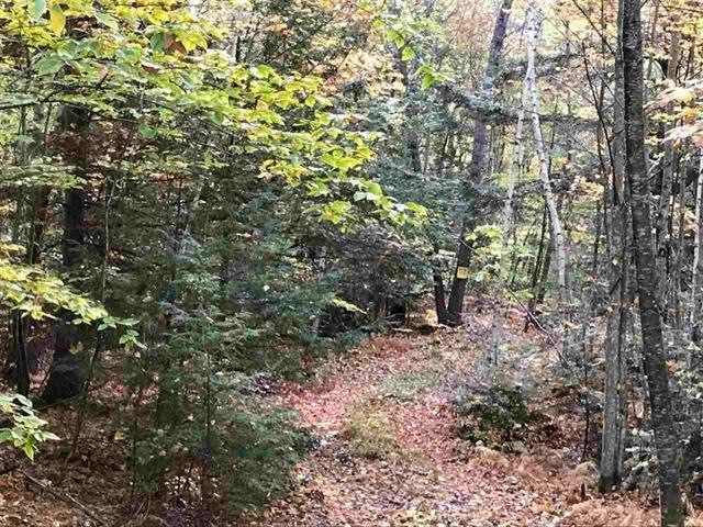 00 Jenkins Rd, New Durham, NH 03855 - photo 1