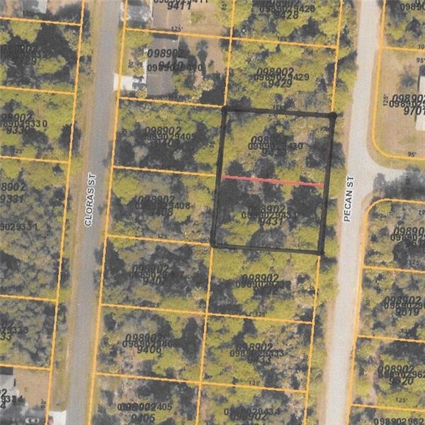 0 Pecan St unit C7241311, North Port, FL 34287 - photo 1