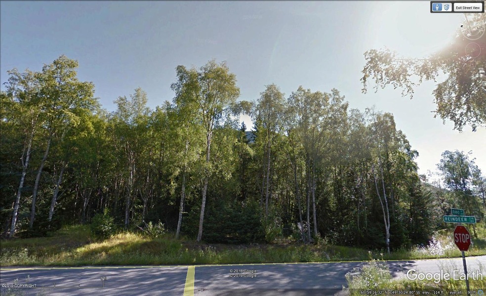 Lot 14 trees
