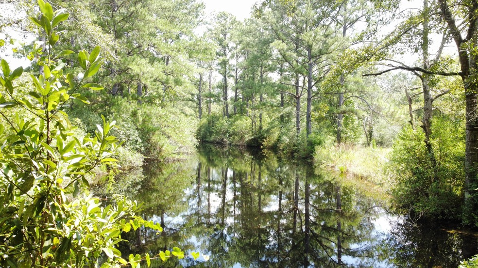 Pond