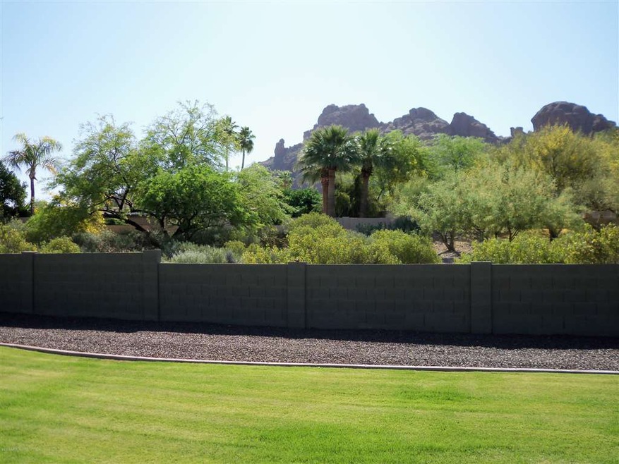back yard