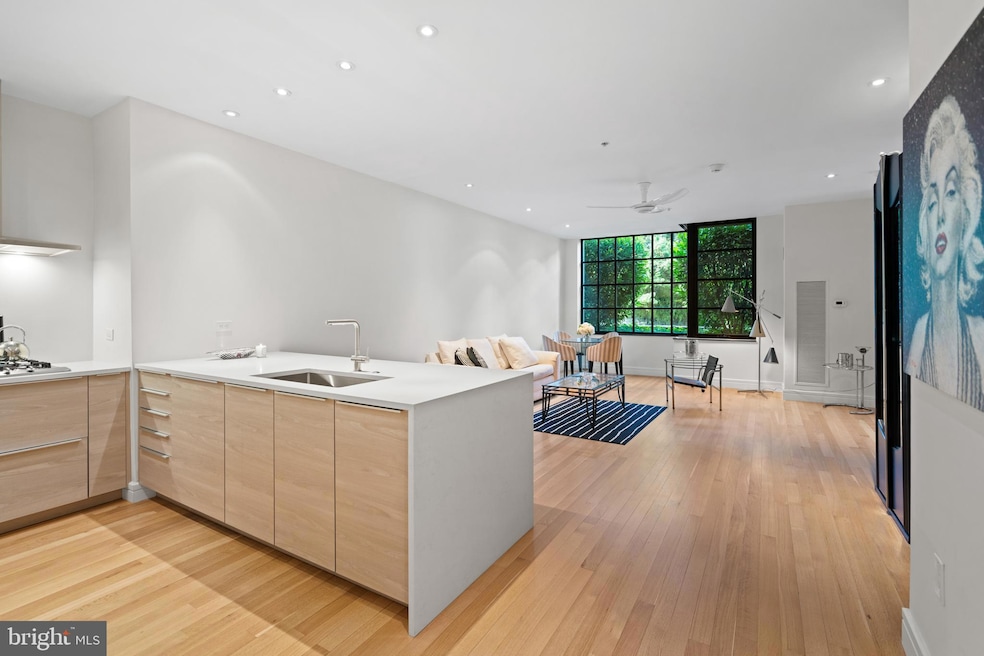 3303 Water St NW unit 3B, Washington, DC 20007 - photo 1