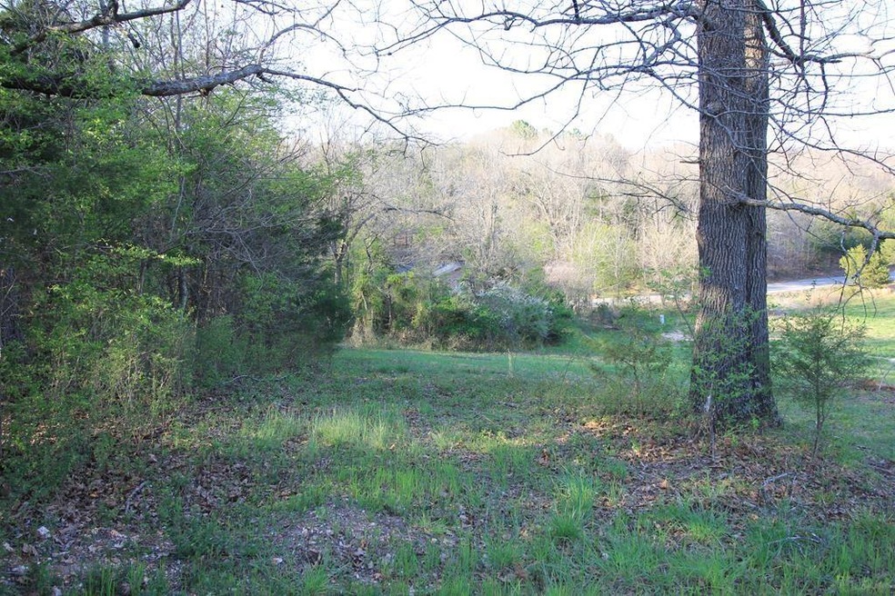 Lot 12 Park Ridge Dr, Lowell, AR 72745 - photo 1