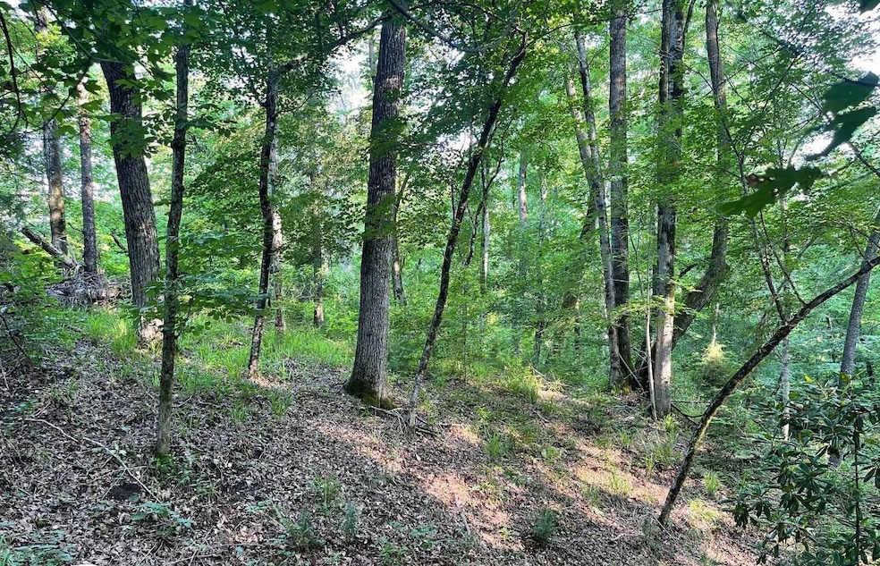 106b Calico Ct, Alberta, AL 36720 - photo 1