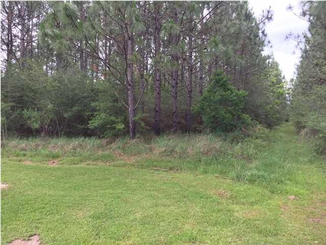 0 Jernigan Ln unit 545433, Robertsdale, AL 36567 - photo 1