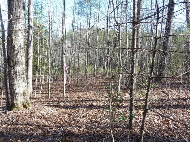 LEVEL LAND HOUSE SITE 1