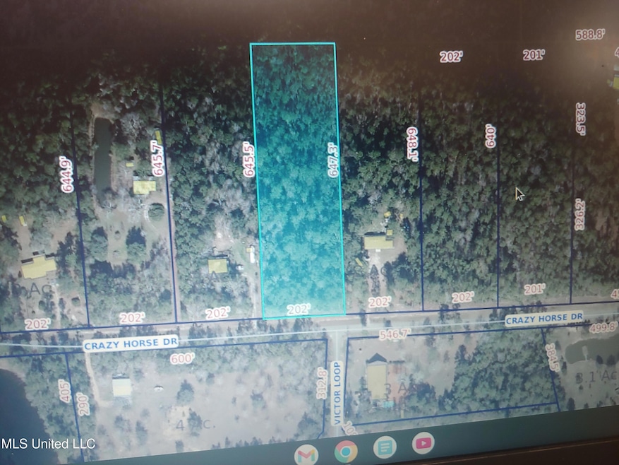 Nhn Crazy Horse Dr, Kiln, MS 39556 - photo 1