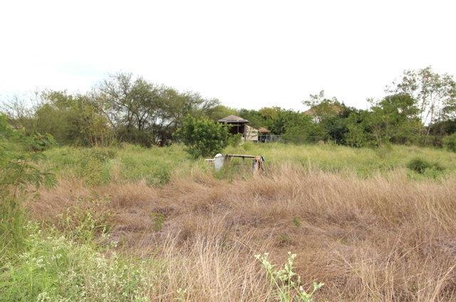 1010 Hawk St, Alamo, TX 78516 - photo 1