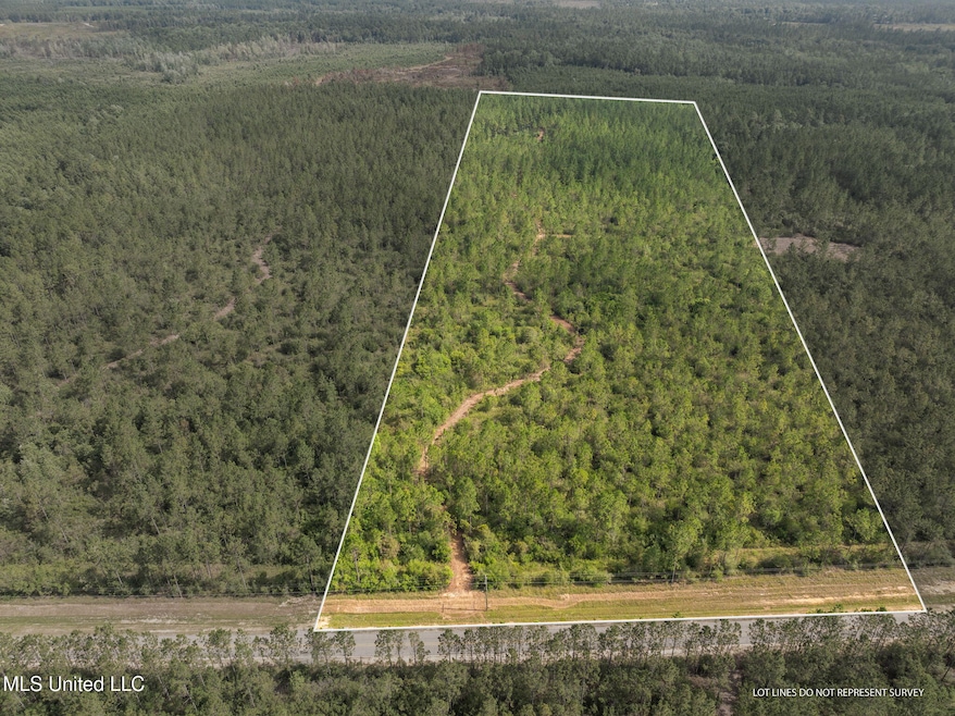 AerialPrimary