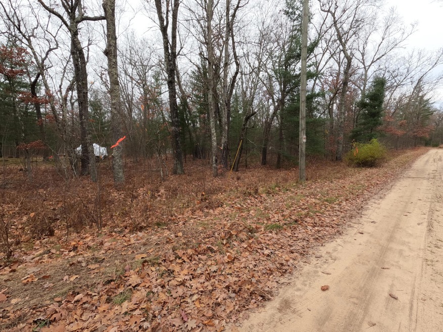 V/L 40th Ave, Merrill Township, MI 49309 - photo 1