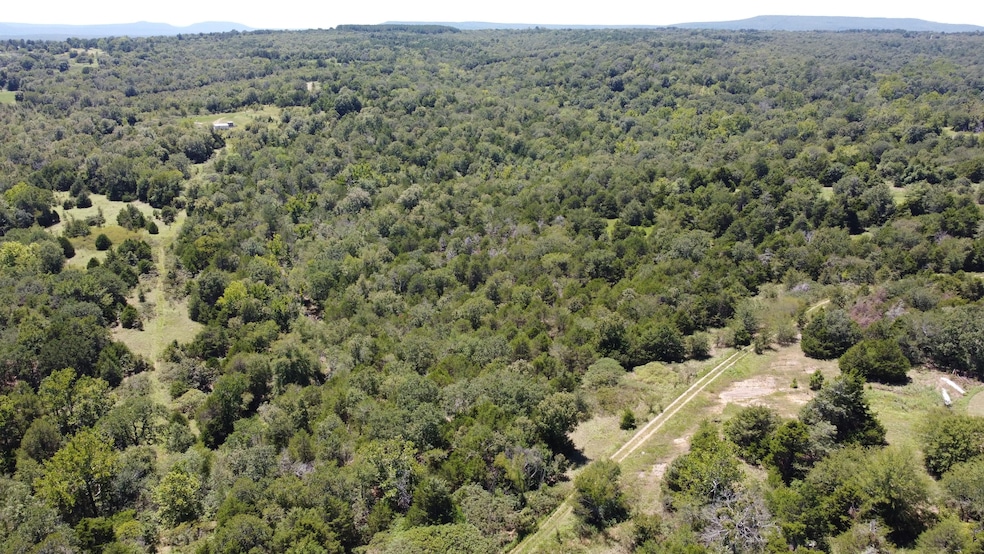 0 W Beaver Mountain Rd, Stigler, OK 74462 - photo 1