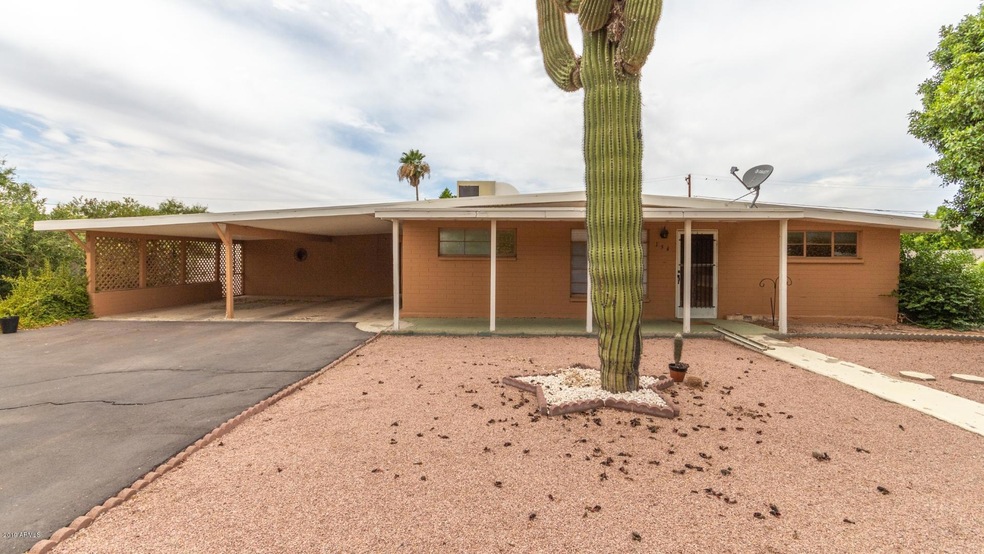 Saguaro (1)