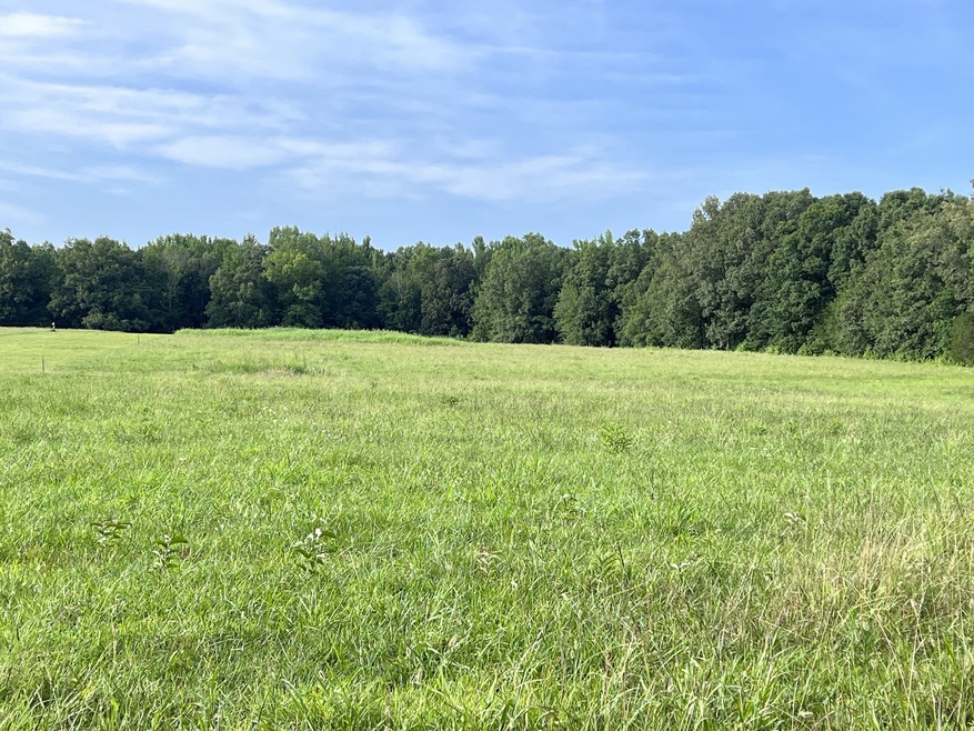 This lush pasture has a perfect site for your dream home. If not ready to build, bring your horses or livestock.