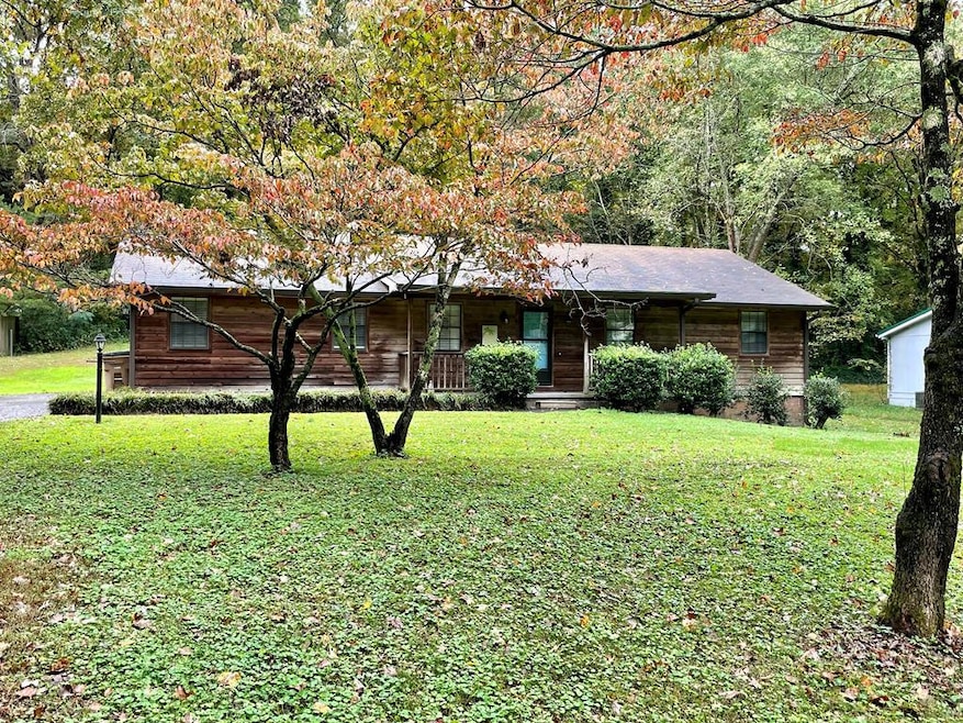 Main View