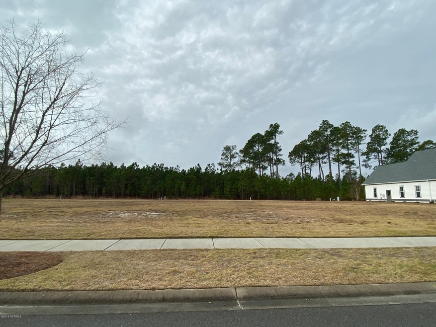 2033 Simmerman Way, Leland, NC 28451 - photo 1