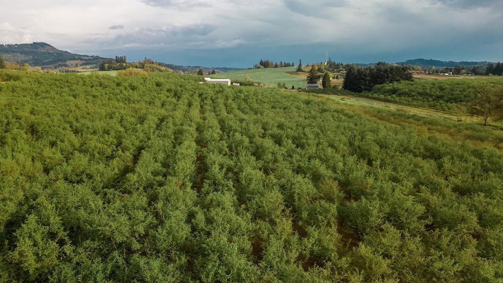 11706 SW Spring Hill Rd, Gaston, OR 97119 - photo 1