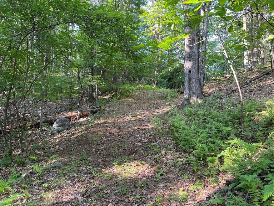 Driveway in