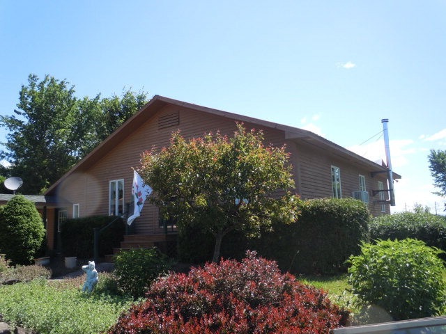 Main View