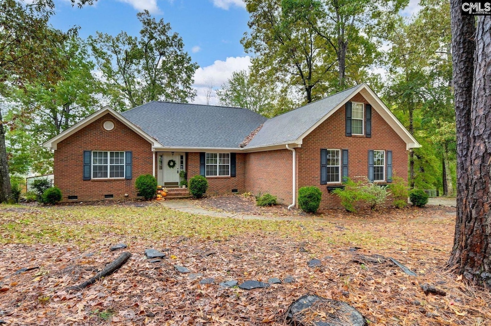 117 Summerfield Dr, Lexington, SC 29072 - photo 1