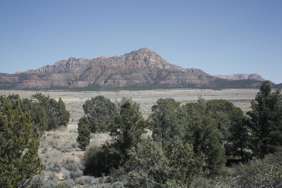 View from the lot