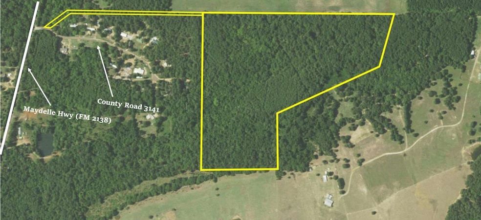 167 County Road 3141, Jacksonville, TX 75766 - photo 1