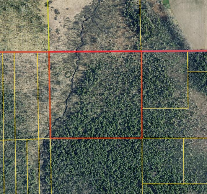 Parcel T101519030600100, Forest