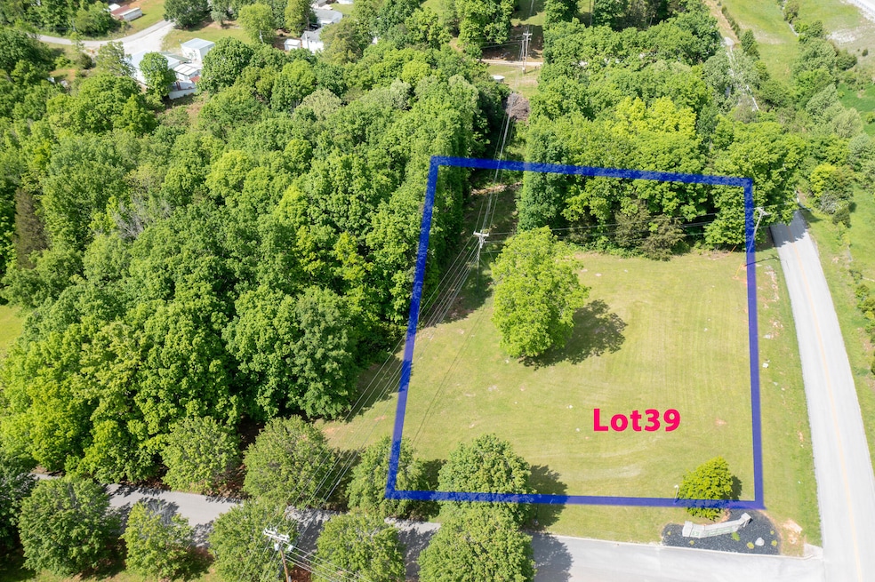 Lot 39