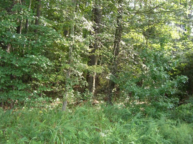 Lot 5 Morton Rd, Gray, GA 31032 - photo 1