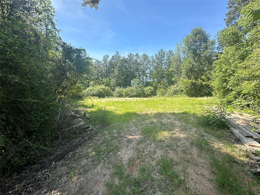 25002 Rhett Butler Ct, Tomball, TX 77375 - photo 1