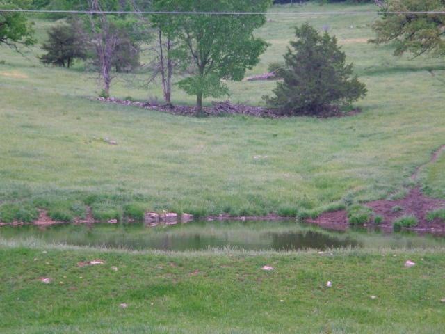 DSC02625