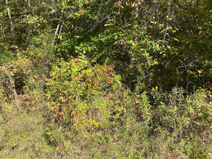 Sold $40,000 • Co-Listing Agent