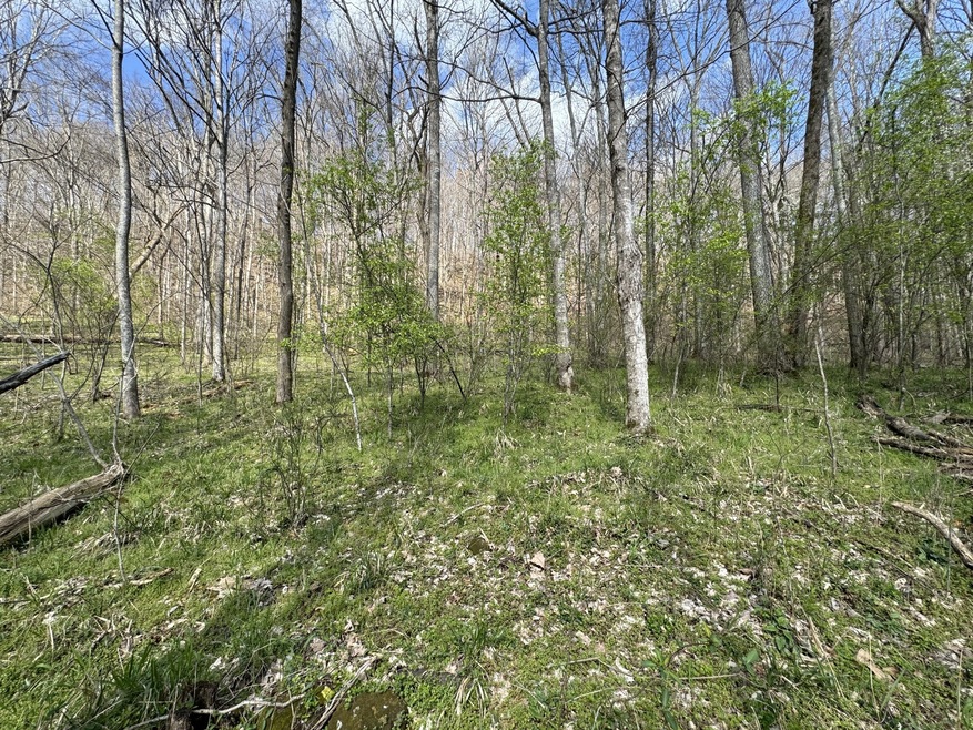 0 Lake View Dr unit RTC2807964, Smithville, TN 37166 - photo 1