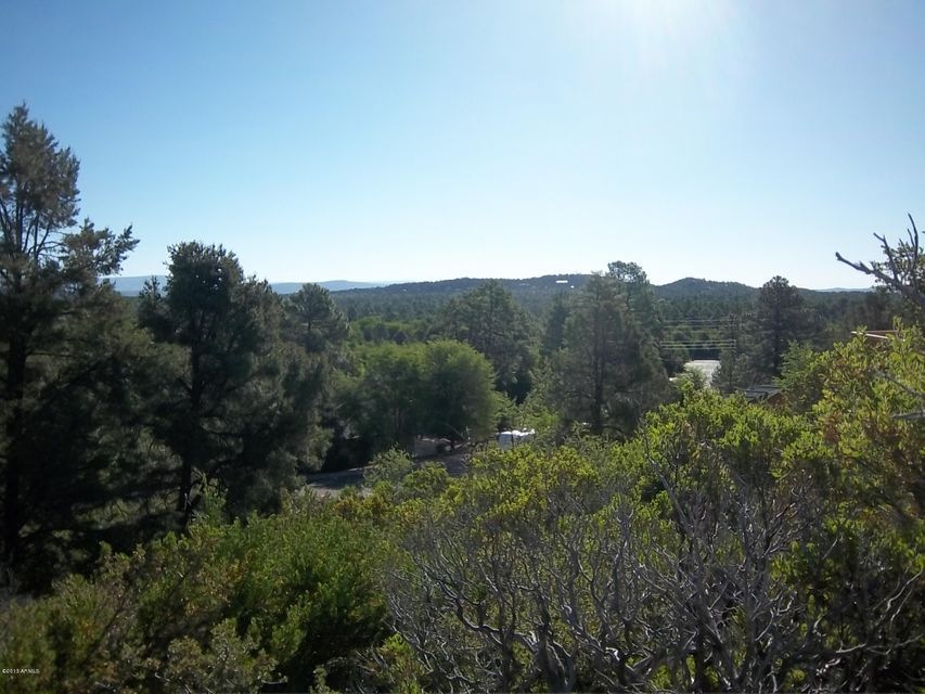 717 W Forest Dr unit 463, Payson, AZ 85541 - photo 1