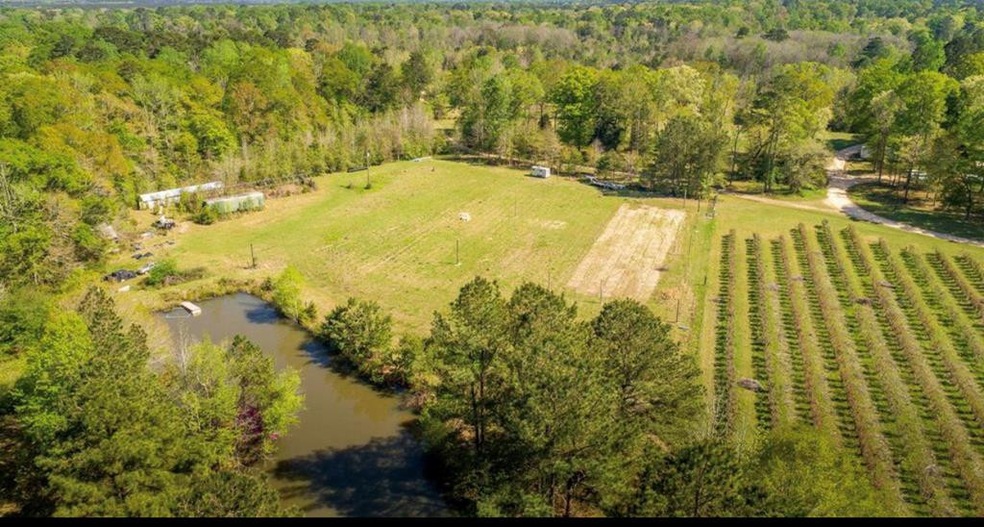 2158 Lloyd Hamilton Rd, McComb, MS 39648 - photo 1