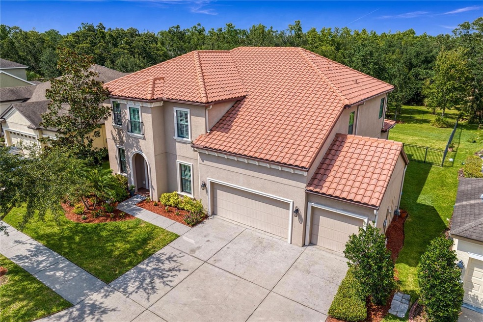 7927 Hampton Lake Dr, Tampa, FL 33647 MLS MFRT3453728