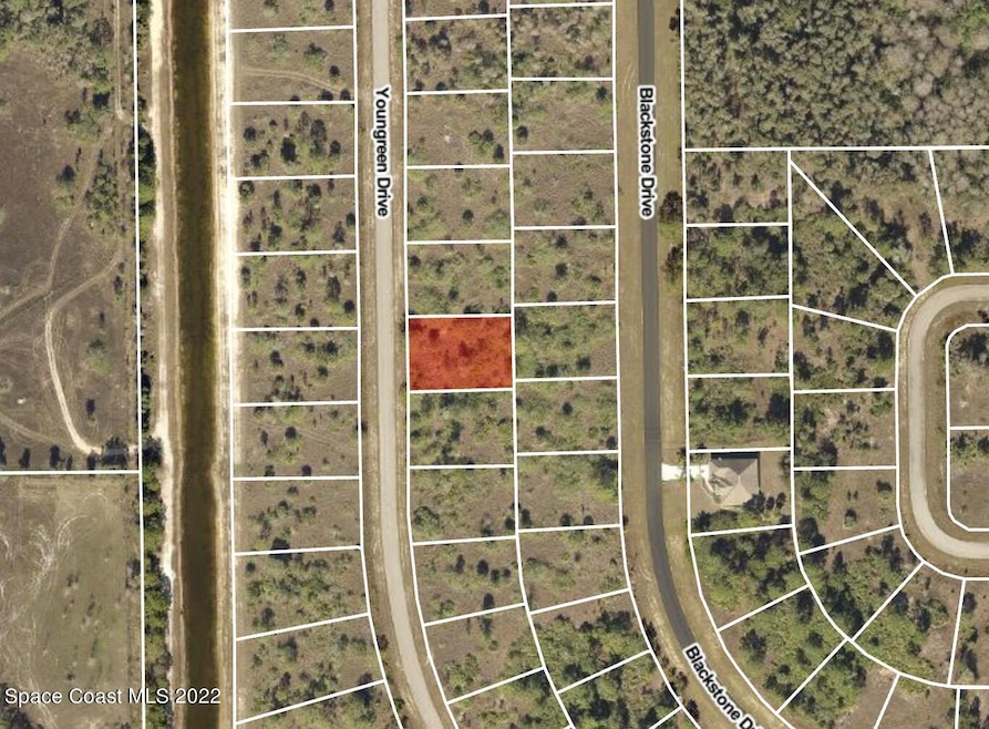 851 Youngreen Dr, Cape Coral, FL 33914 - photo 1