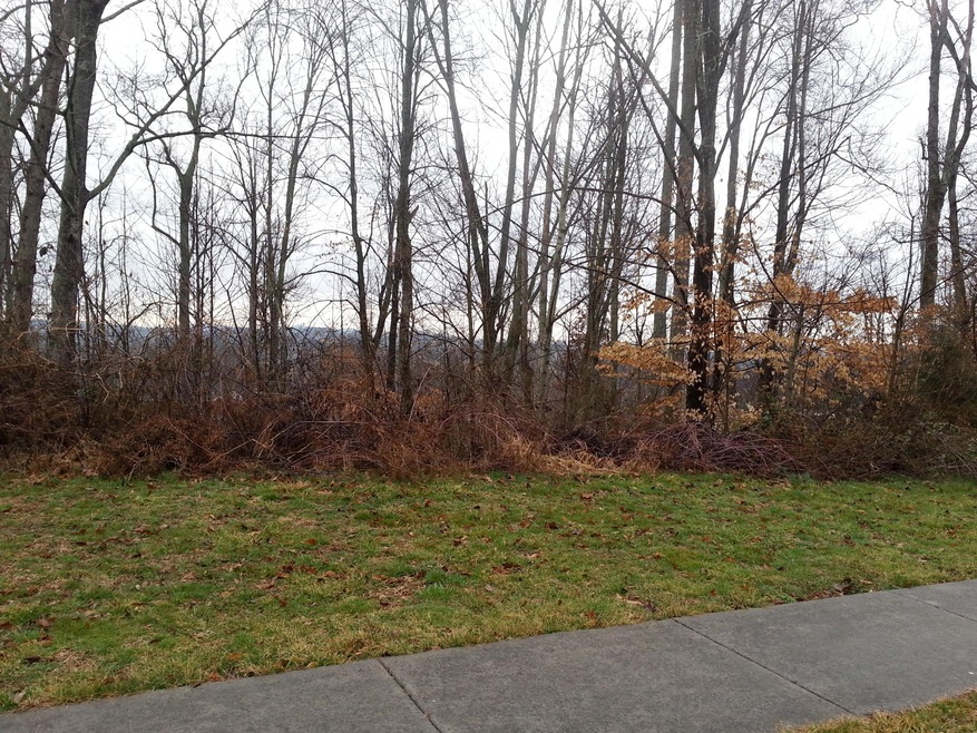 20150310_090521.jpg