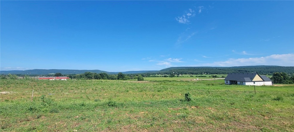 131 S Eagle Mountain St, Prairie Grove, AR 72753 - photo 1