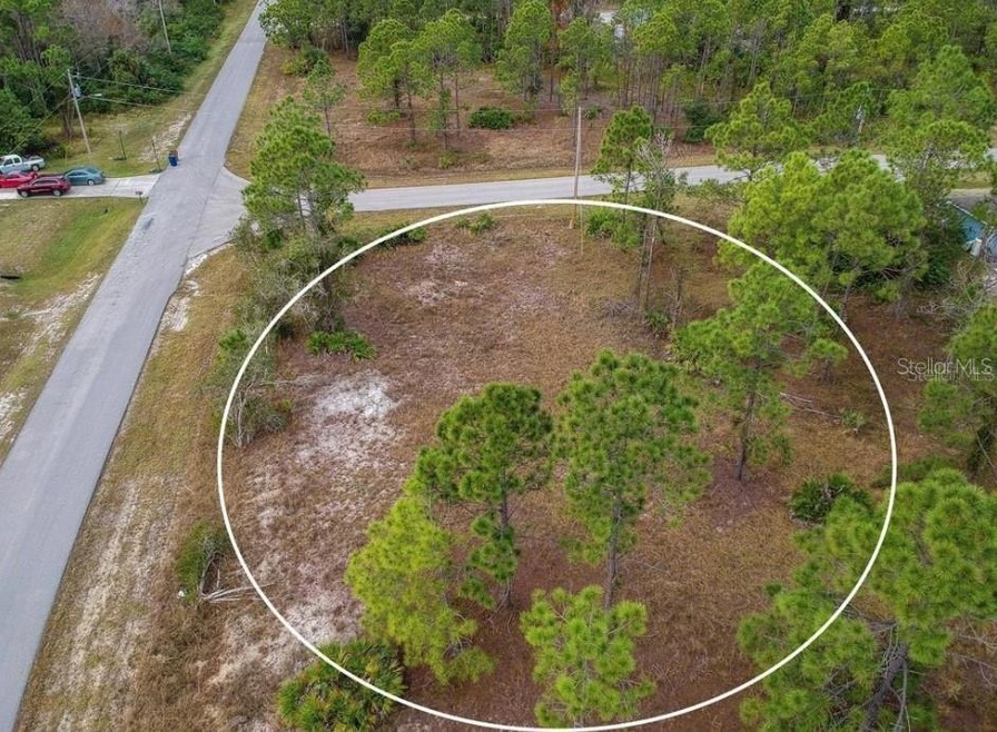 815 Andover Ave S, Lehigh Acres, FL 33974 - photo 1