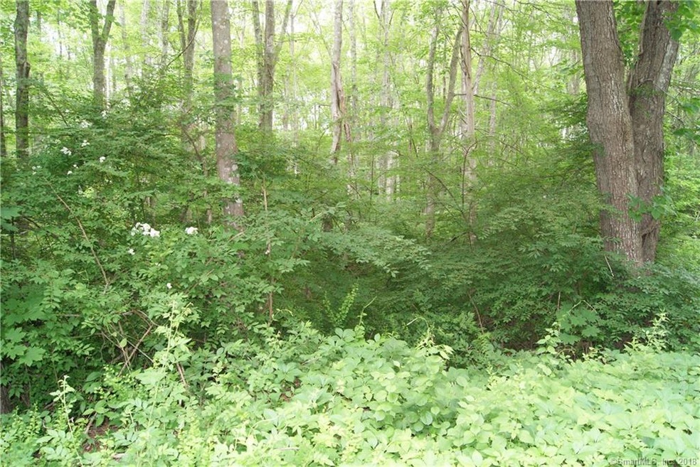 5 Boggy Hole Rd, Old Lyme, CT 06371 - photo 1