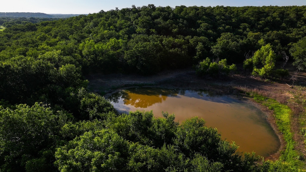0000 Fm 61, Graham, TX 76450 - photo 1