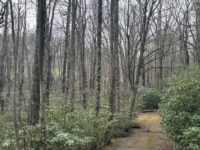 TBD Crooked Creek Ln, Fancy Gap, VA 24328 - photo 1