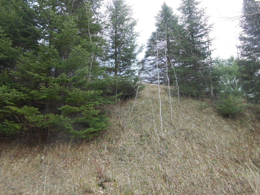 000 Polar Rd, Bryant, WI 54418 - photo 1