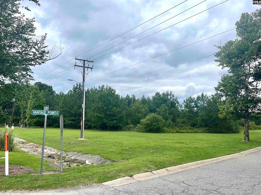 100 Vantage Point Dr, Cayce, SC 29172 - photo 1