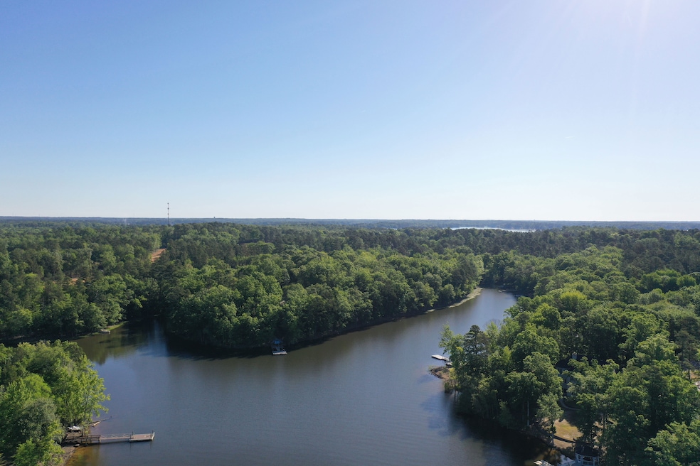 808 Elms Spinney Ln, Chapin, SC 29036 - photo 1