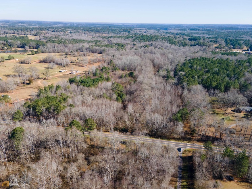 2923 S Ola Rd, Locust Grove, GA 30248 - photo 1
