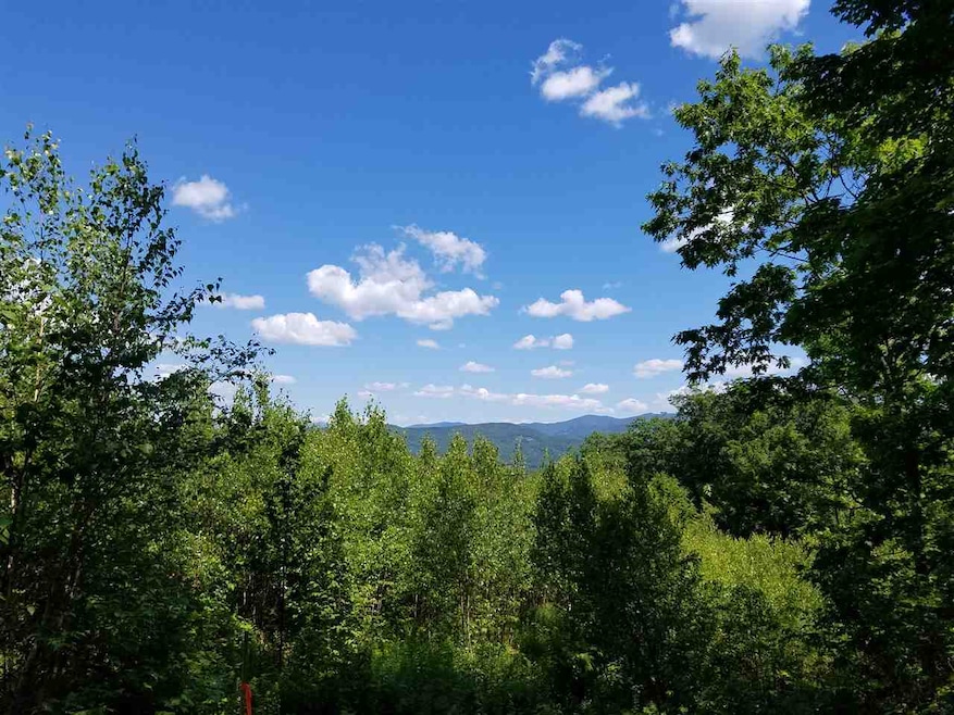 Looking North to white Mts