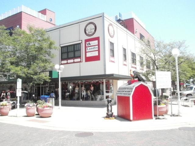 Primary Photo