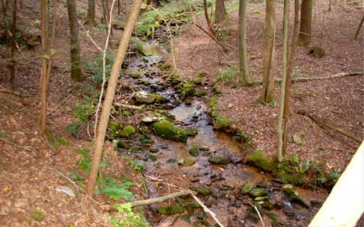 Main View