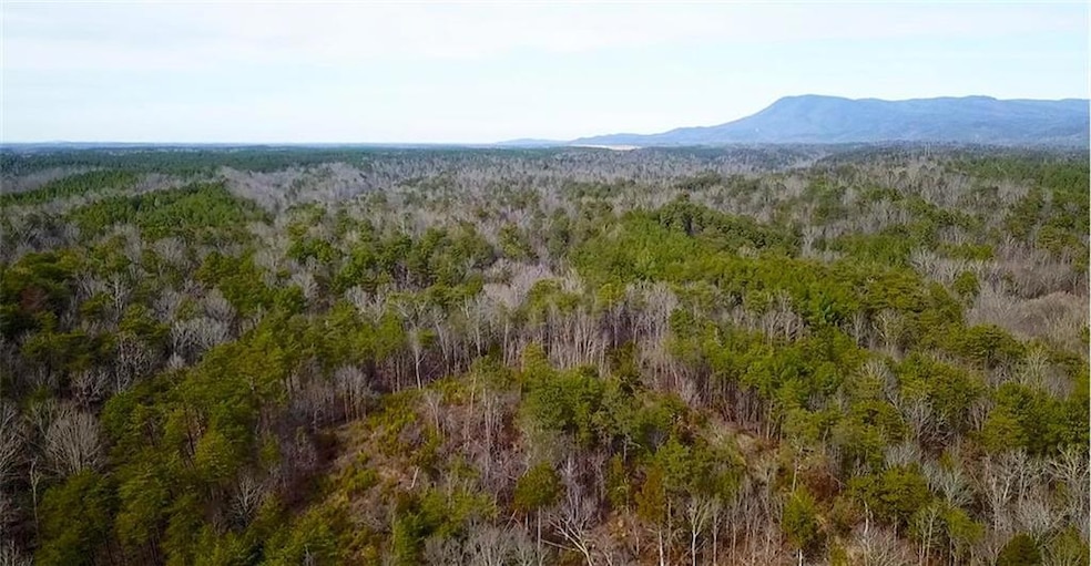 0 Conniston Rd unit 7575463, Chatsworth, GA 30705 - photo 1